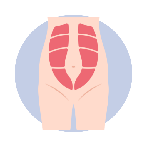 illustration of stomach muscles separating from the middle of the abdomen.